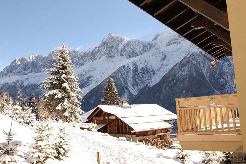 法国夏蒙尼赛丽娜别墅雪景