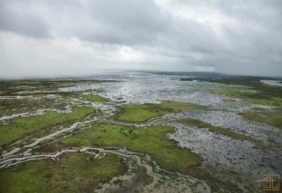 Bamurru Plains - Photo 15