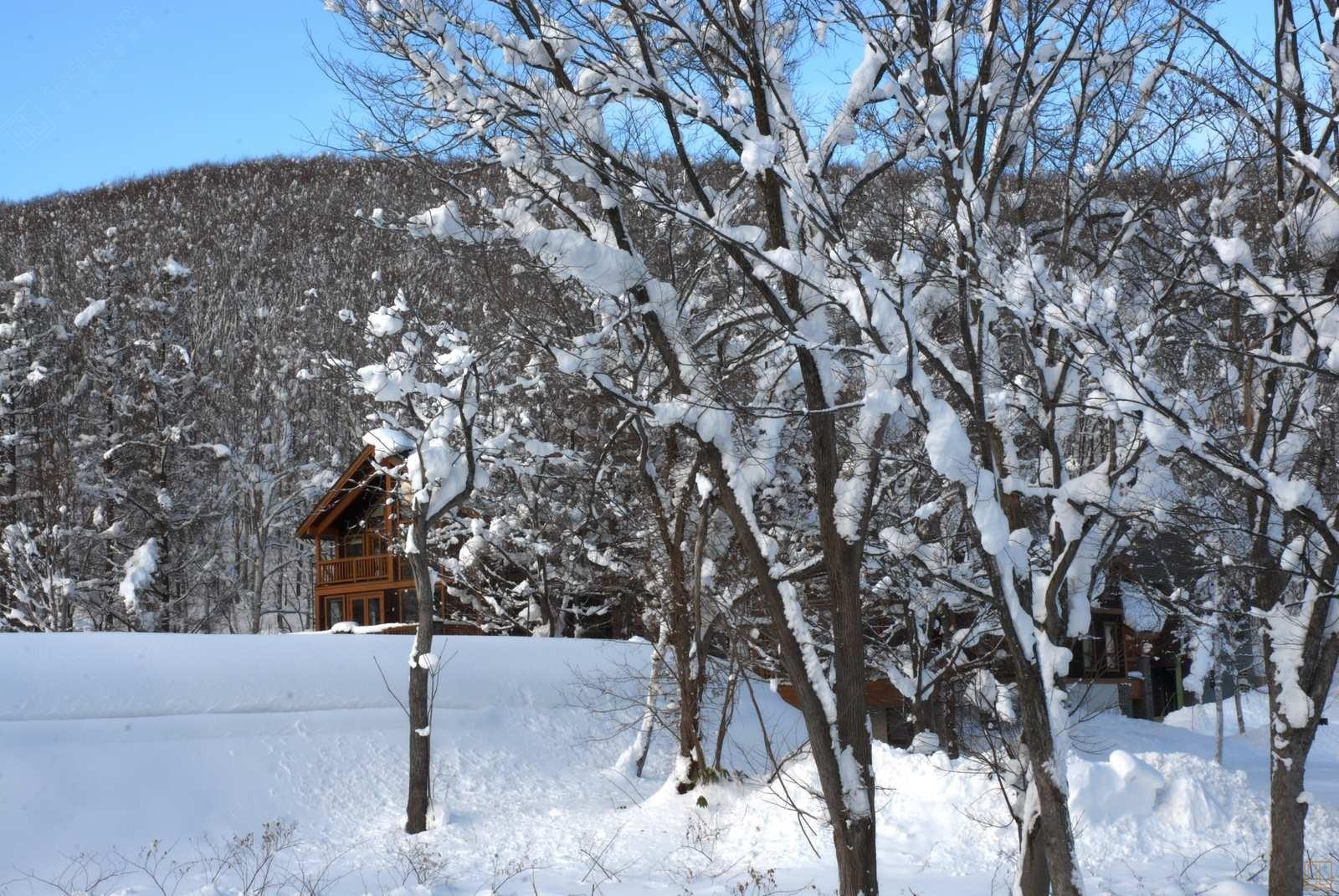 日本北海道满阁宿别墅山景