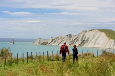 The Farm at Cape Kidnappers Owner's Cottage - Photo 11