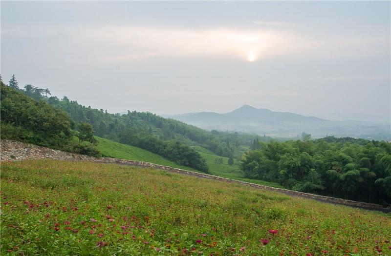 第六感Senseluxury 度假别墅-溧阳美岕山野温泉度假村一居室树屋-screenshot-14