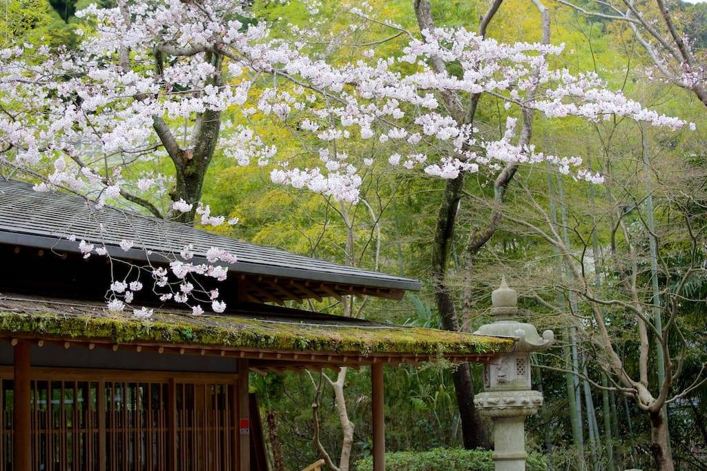 Oukai Villa - Photo 7