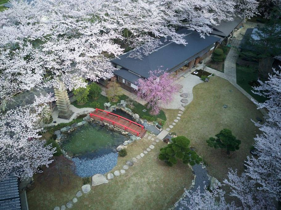 Oukai Villa - Photo 11