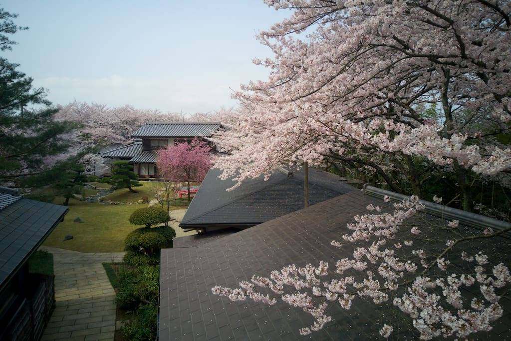 Oukai Villa - Photo 3