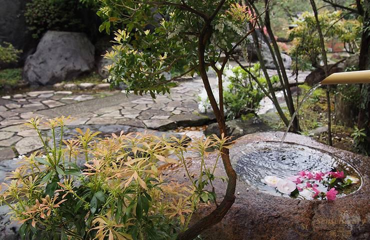 假山流水