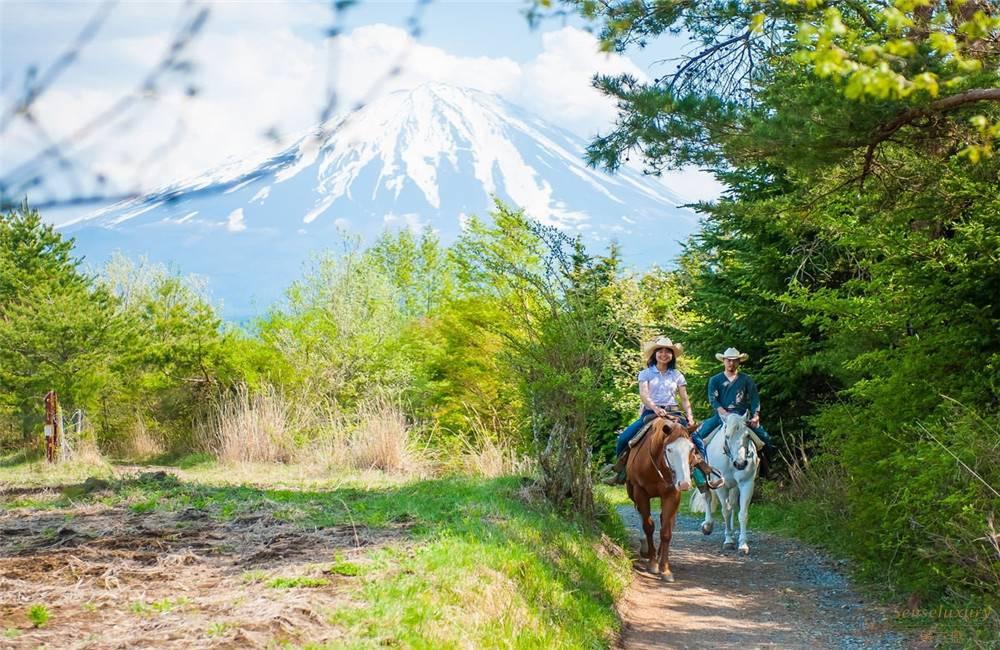 日本富士山星野. 虹夕诺雅. 富士别墅外景游玩