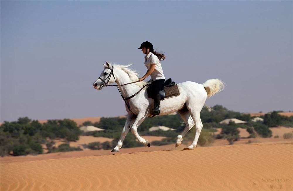 阿联酋迪拜阿玛哈沙漠贝都因别墅套房骑马