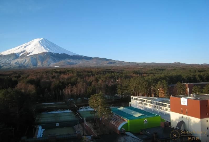 森林木屋别墅 外景