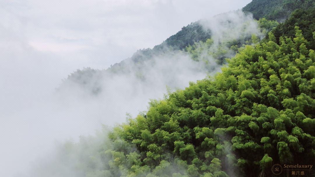 第六感Senseluxury 度假别墅-飞茑集民宿(松阳店)-screenshot-10