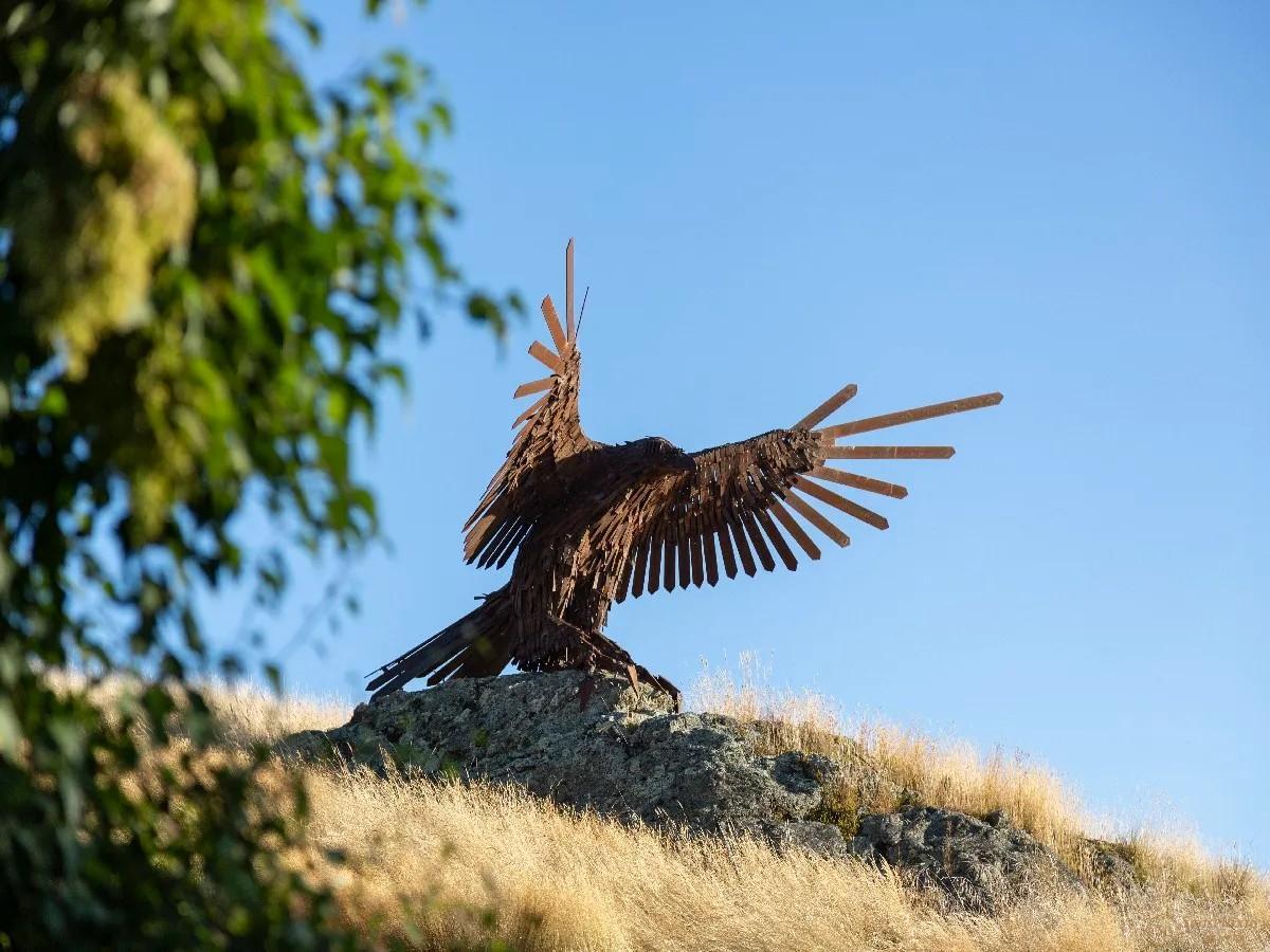 Falconridge - Photo 27