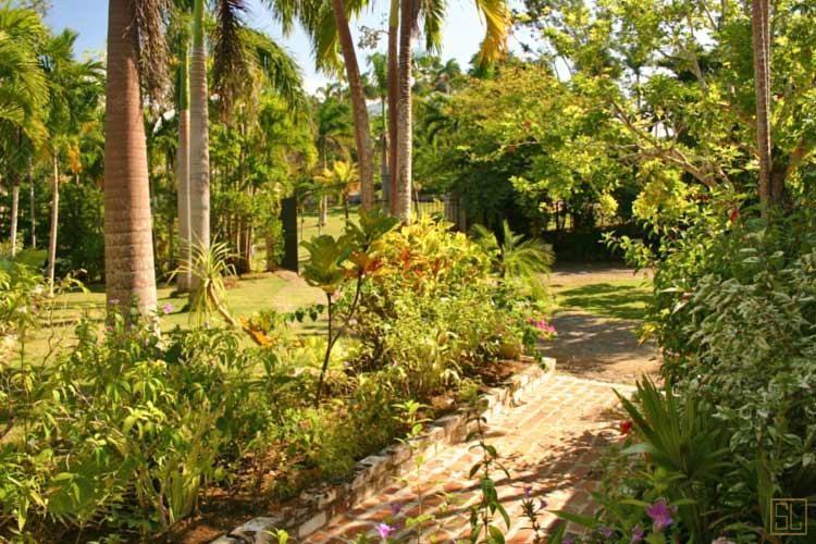 加勒比牙买加苹果屋度假别墅庭院