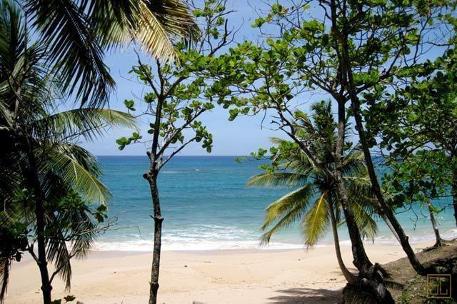 加勒比多米尼加共和国卡沙贝拉别墅沙滩