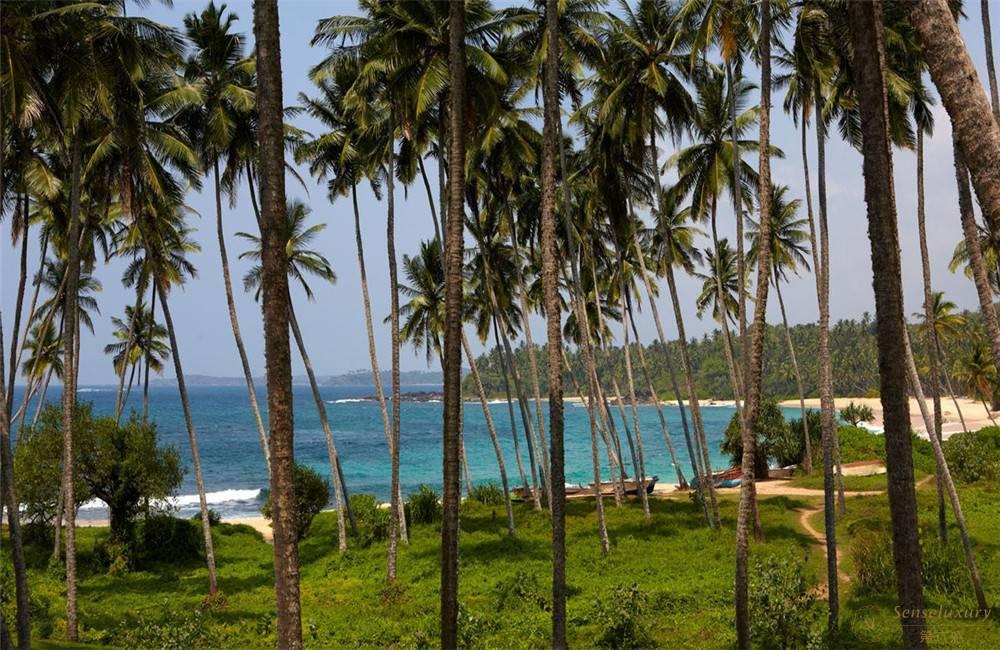 斯里兰卡坦加勒安缦维拉套房海景