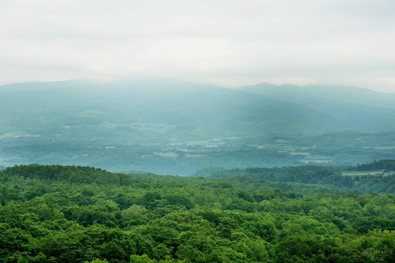 新雪谷塔度假酒店 外景