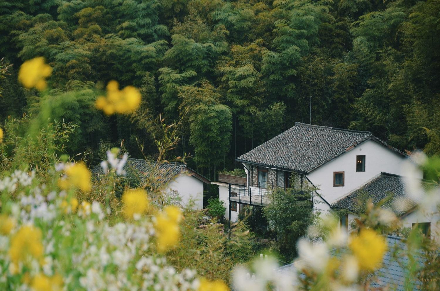 西坡莫干山度假酒店