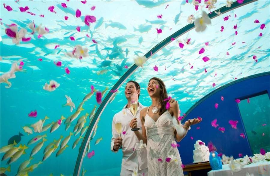 马尔代夫水下美食餐厅推荐，享受马尔代夫独有的浪漫